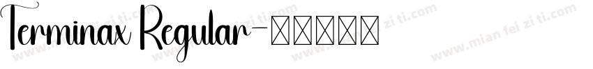 Terminax Regular字体转换